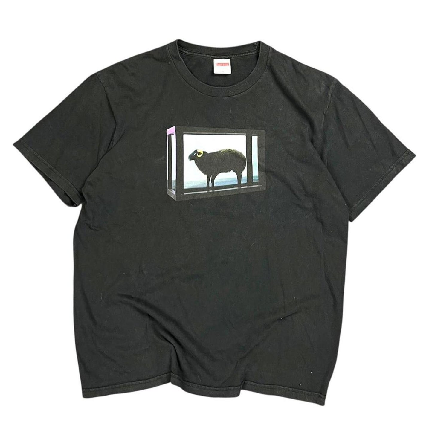 Supreme T-shirt
